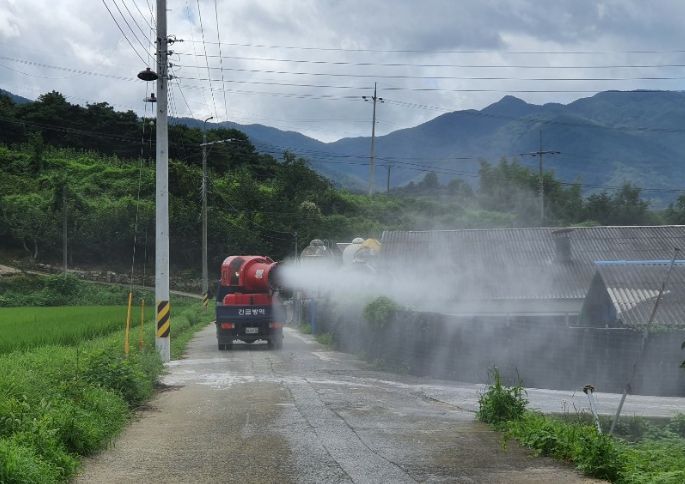 설 명절 가축전염병 집중 소독