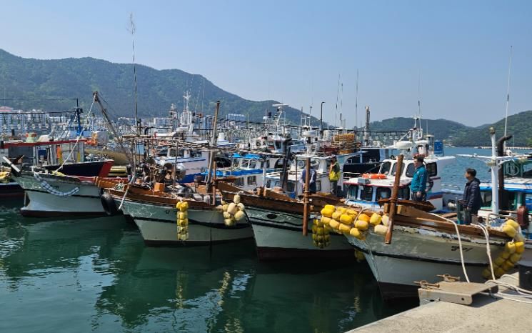 통영시, 2026년 연안어선 감척사업 예산 87억원 확보