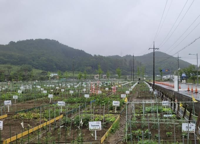 진주시, 도심 속 농업체험장‘시민 텃밭’분양 성황리 마감