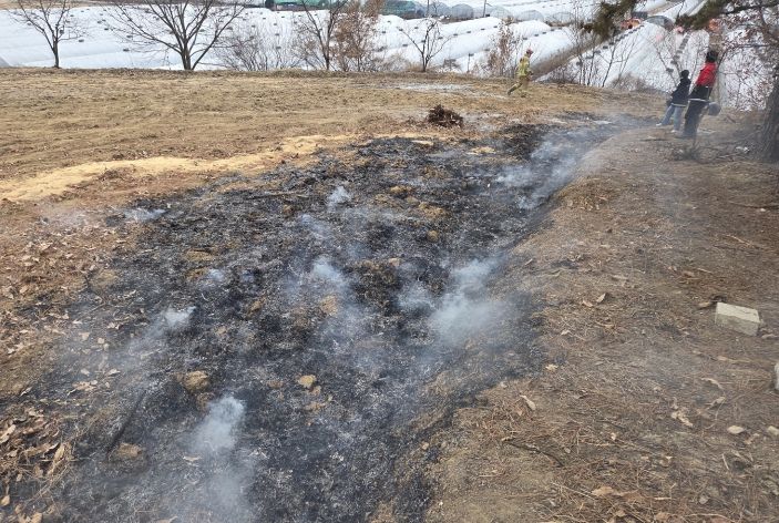 산림인접지 위반행위 엄정 대응