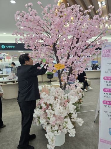 시승격 30주년 기념 축하메시지 트리 운영