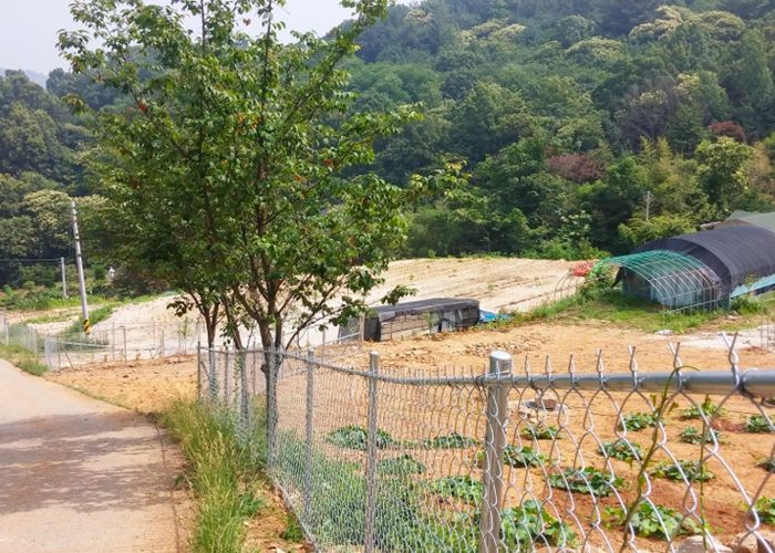 대전 대덕구가 고라니 등 야생동물로 인한 농작물 피해를 줄이기 위해 예방시설 설치 지원사업을 확대한다. 사진은 예방시설 설치 모습.