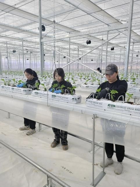 괴산군 청년농 임대형 스마트팜 본격 운영, 추가 시설하우스도 조성