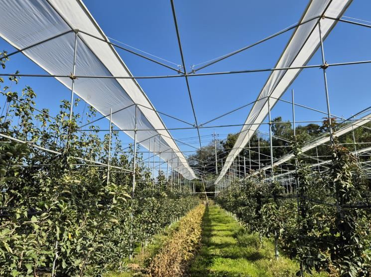 보은군, 스마트농업특화지구 육성사업 본격 추진