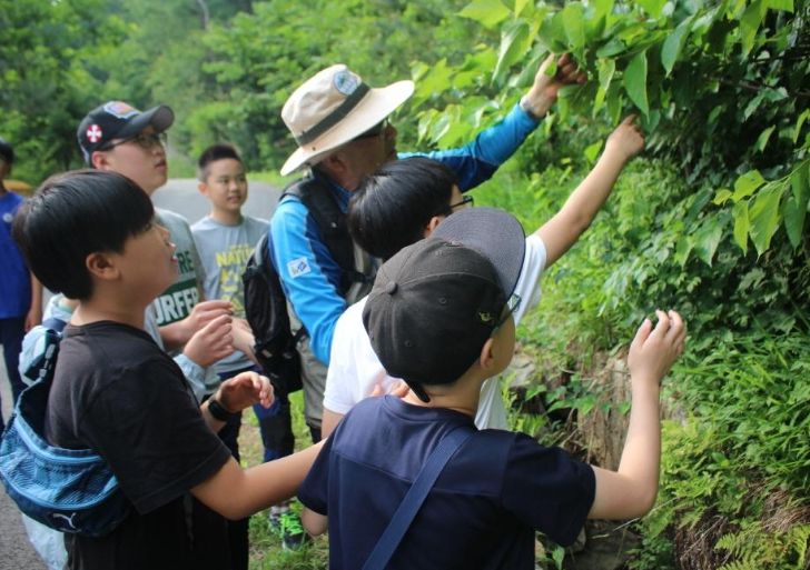 '2026년 숲체험교육사업' 참가 단체 모집