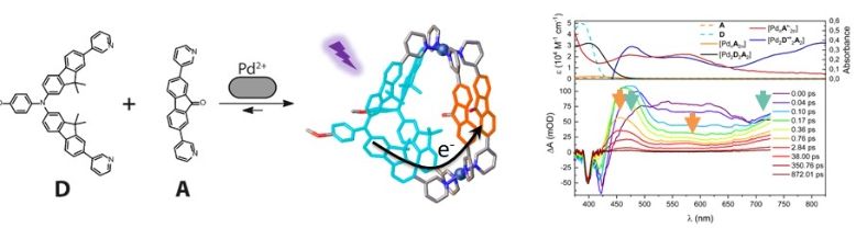 광유도 전하 분리 초분자 나노구조 규명