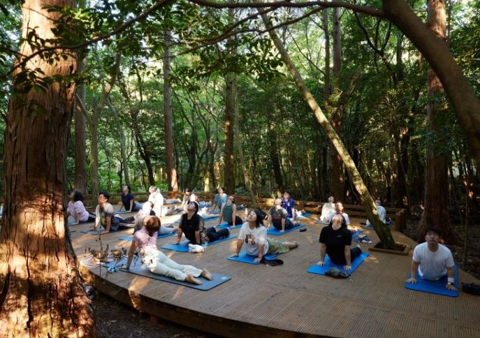 숲 요가