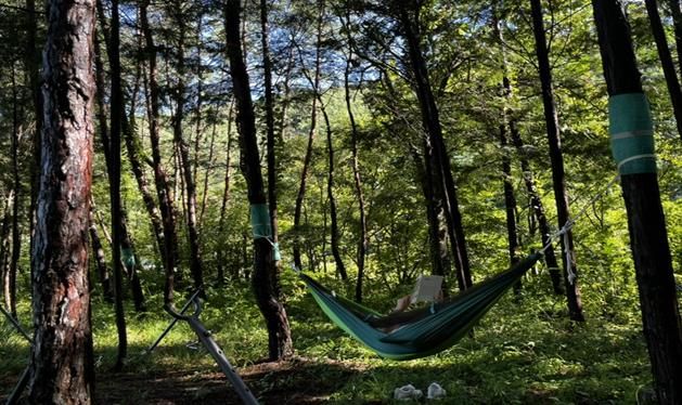 산림치유프로그램 운영 사진. 국립나주숲체원 화순치유의숲 제공