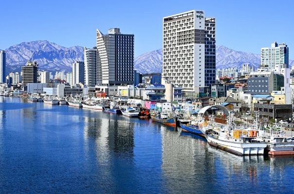 어선 현대화 관련 속초시 관내 항구 전경