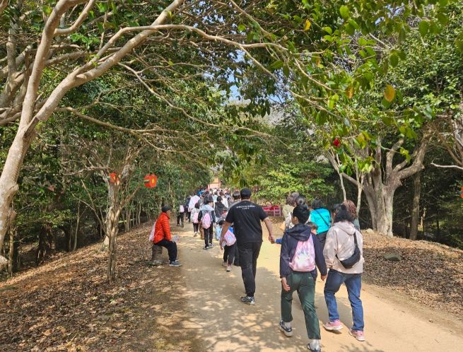 강진군체육회 주관 ‘동백숲길 3대가 함께 걷다’행사가 성황리에 펼쳐졌다.