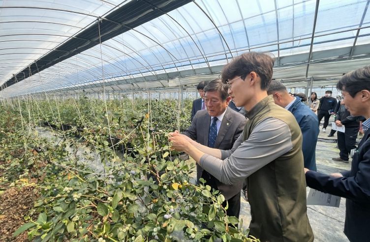 곡성군 관계자들이 블루베리 농가를 찾아 현장의 애로사항을 청취하고 있다.