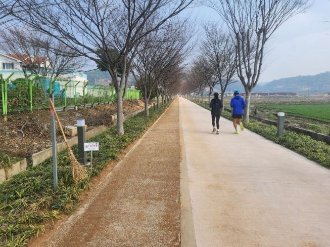 이용객 의견 반영한 맥문동 산책길 새단장