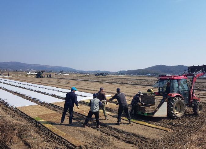 “못자리 설치는 4월 25일 이후에 하세요