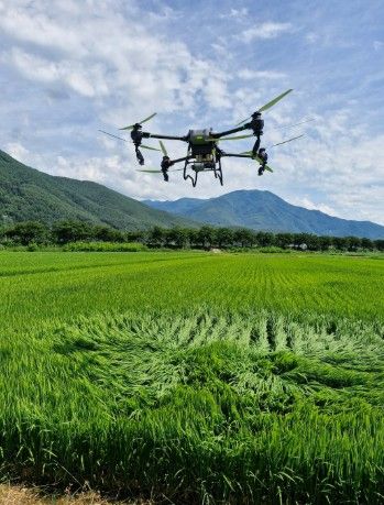 정선군, 379ha 규모 드론 방제 시범사업 추진