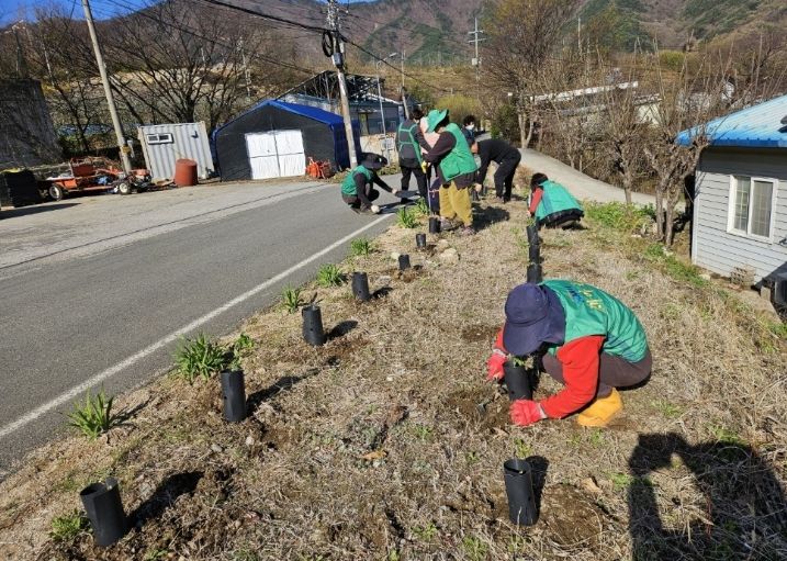 밀양시새마을회와 산내면 동명마을 주민들이 탄소중립 실천을 위해 묘목을 심고 있다