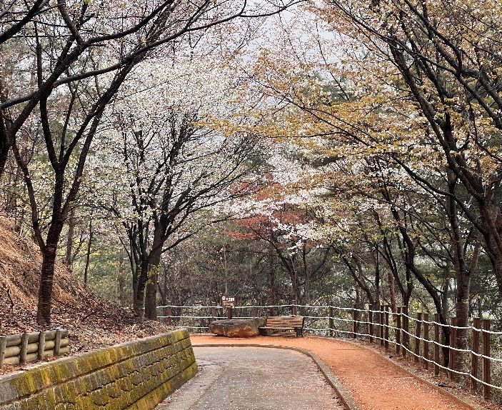 아쉬운 봄, 성주봉자연휴양림에서 다시 붙잡으세요