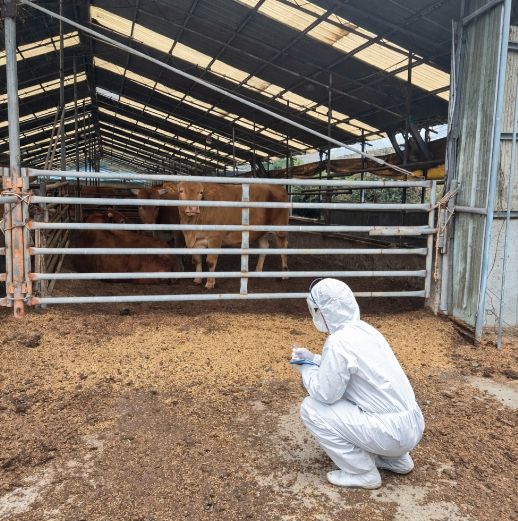 도민 안전 확보 등 위해 축제장 등 환경 1300여 건 검사 추진