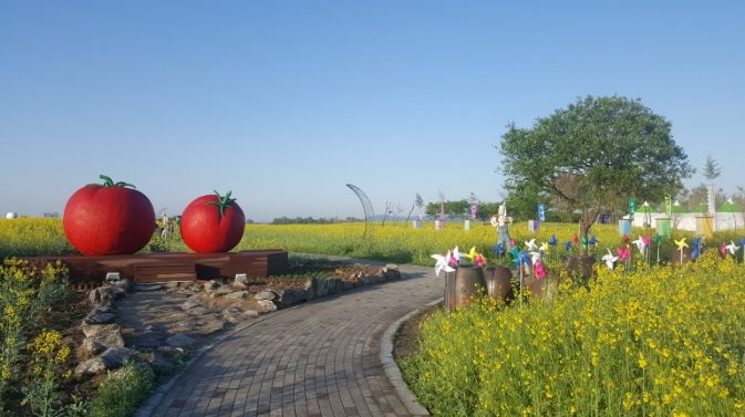 2026 부여세도 방울토마토 & 유채꽃 축제17일 개막