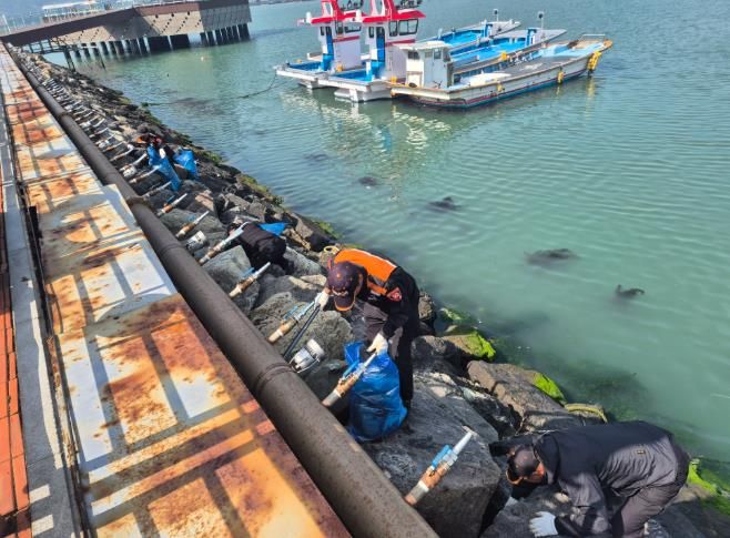 해양환경구조협회 강진구조대에서 해양 정화활동하는 모습