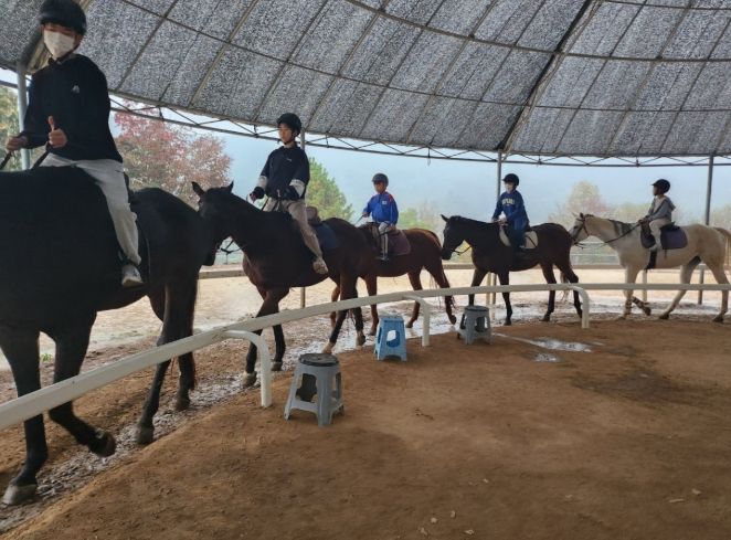 2026년 학생승마 지원사업 본격 추진