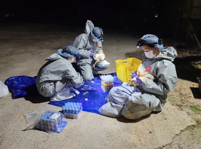 종계장 정밀검사