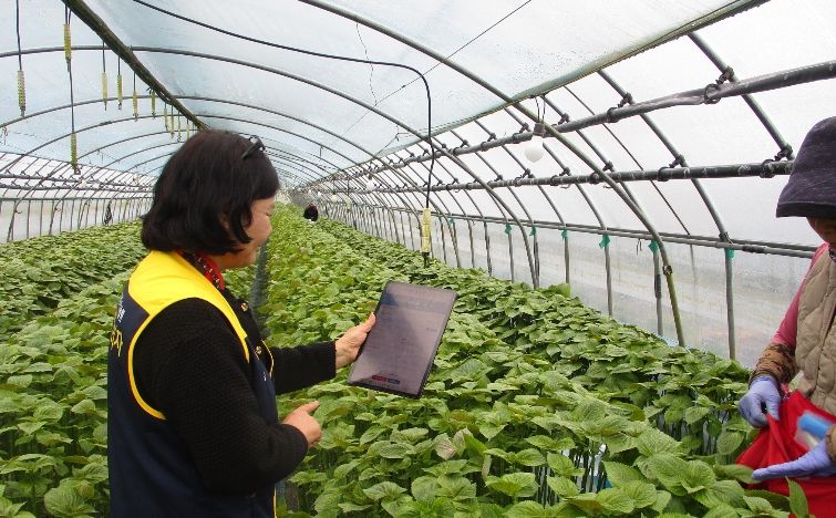 금산군농업기술센터 소속 농작업 안전관리관들이 농가 대상 현장 안전점검에 나서고 있다.
